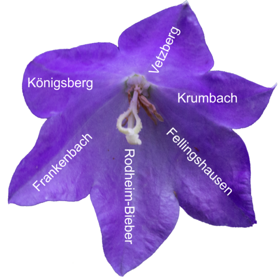 Biebertaler BilderBogen